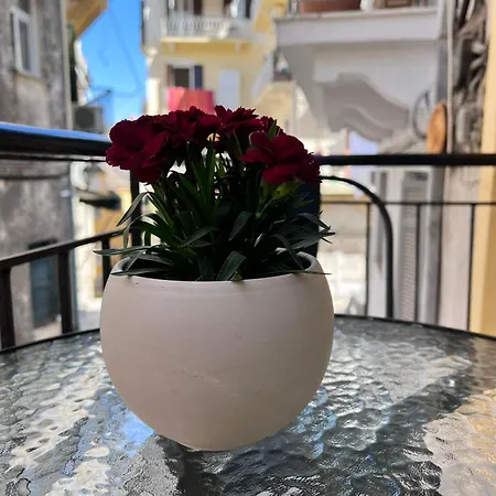 Nefeli Boutique Apartment *